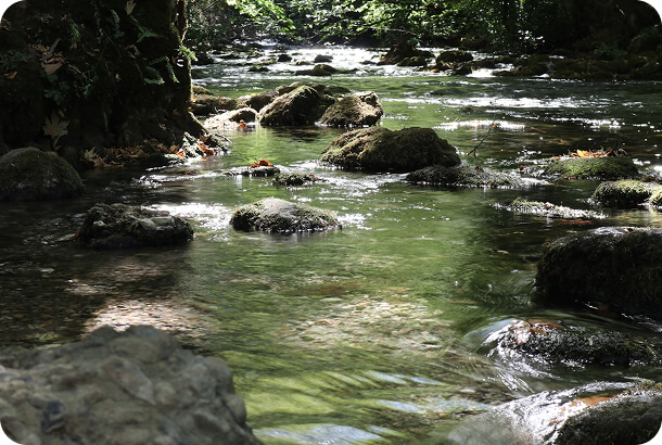 3pcl solutions garita