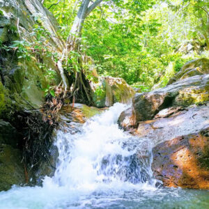 3pcl solutions los besotes