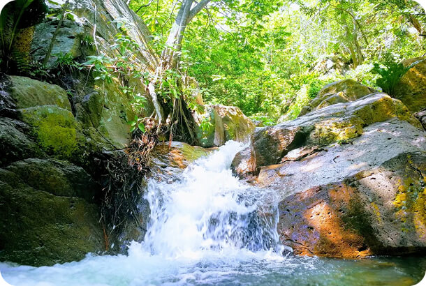 3pcl solutions los besotes