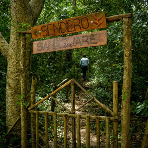 3pcl solutions luriza