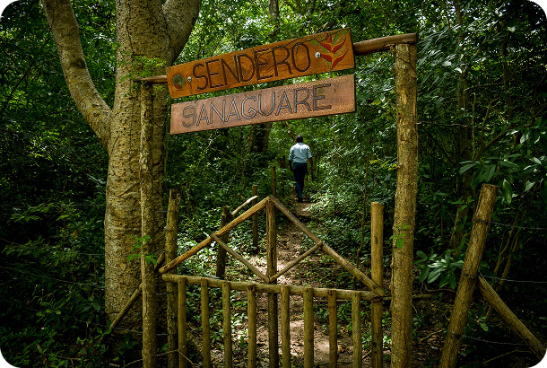 3pcl solutions luriza