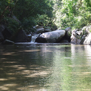 3pcl solutions mango