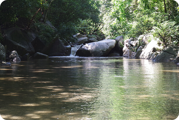 3pcl solutions mango