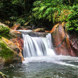 3pcl solutions minca