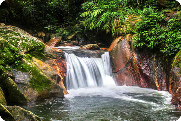 3pcl solutions minca