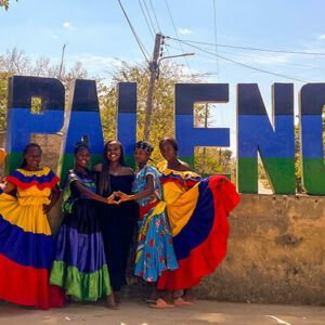 3pcl solutions palenque