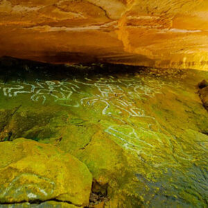 3pcl solutions piedra pintada