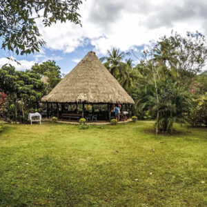 3pcl solutions tayronaka