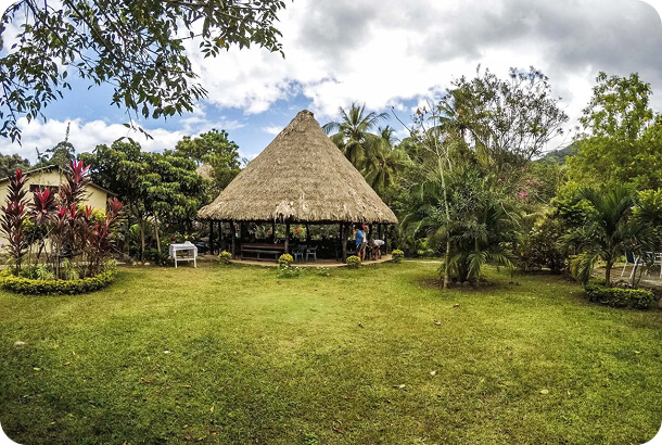 3pcl solutions tayronaka