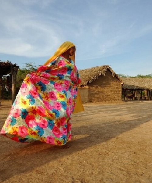 guajira conecta con tus raices