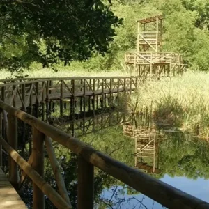 Parque Isla Salamanca