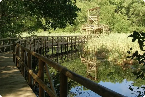 Parque Isla Salamanca