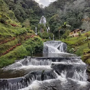 Plan Familiar Eje Cafetero