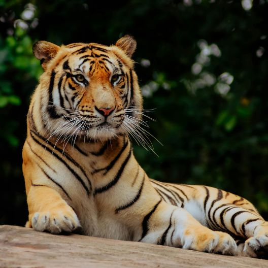 Zoológico de Barranquilla